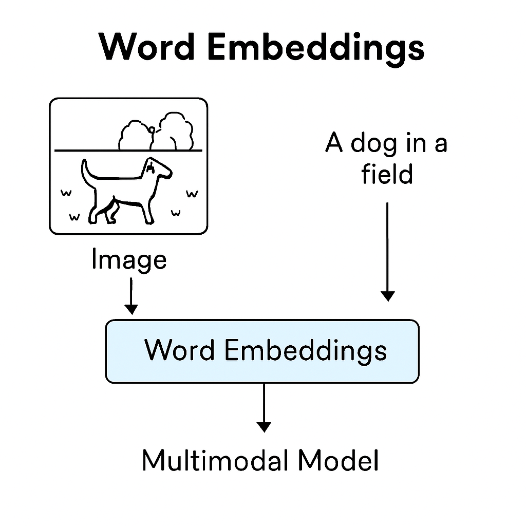 Word Embeddings - Multimodal Model